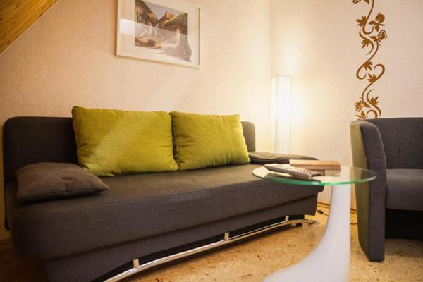 Apartments "Vier Napoleonslinden" 奥尔施泰特 外观 照片